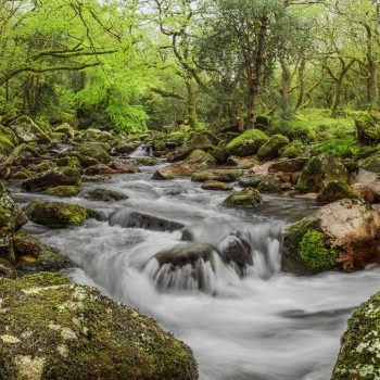 Dartmoor National Park