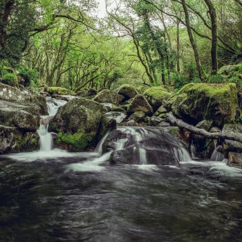 Dartmoor National Park