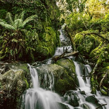 Dartmoor National Park